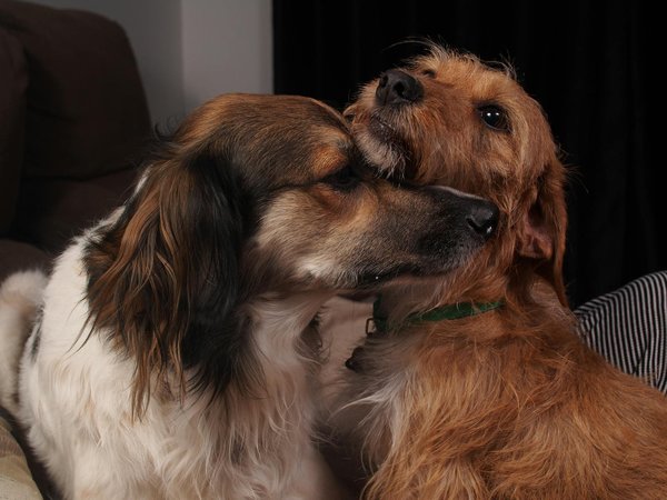 How Can Real Estate Developers Address the Digital Divide in Urban Areas?